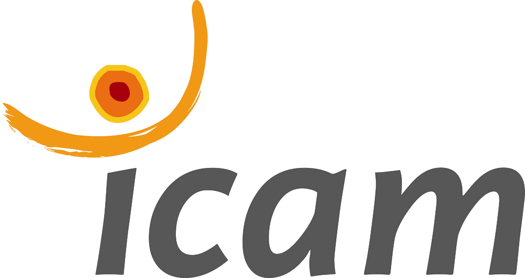 logo ICAM